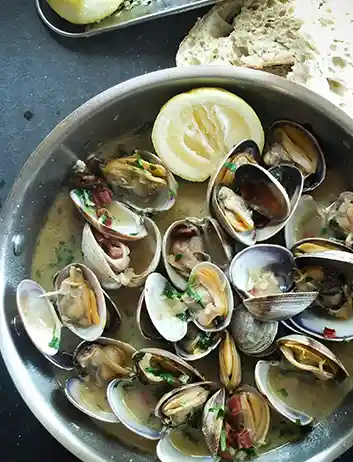 Popular Foods to Try