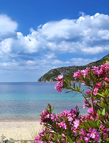 Top Places to Visit