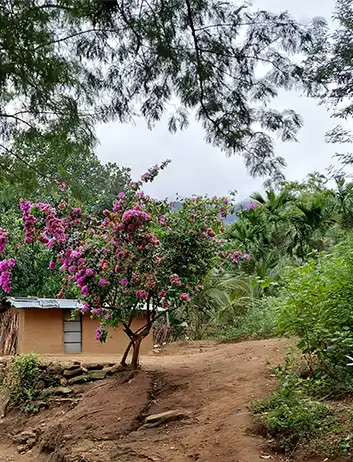 Top Places to Visit