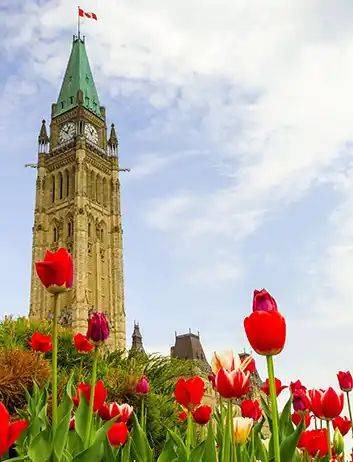 Top Places to Visit
