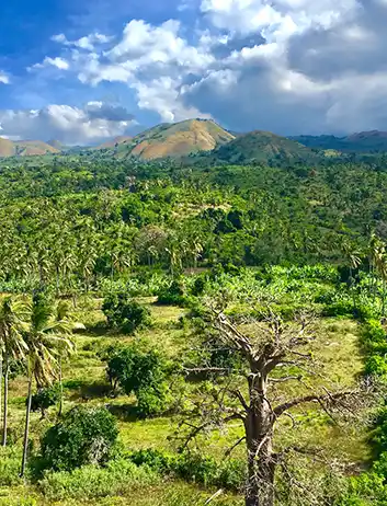 Top Places to Visit
