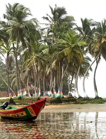 Top Places to Visit