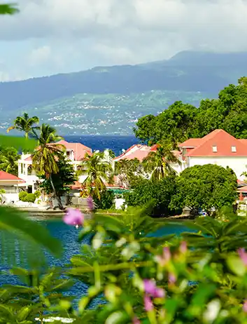 Top Places to Visit