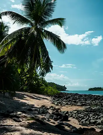 Top Places to Visit