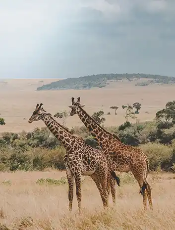 Top Places to Visit