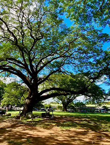 Top Places to Visit