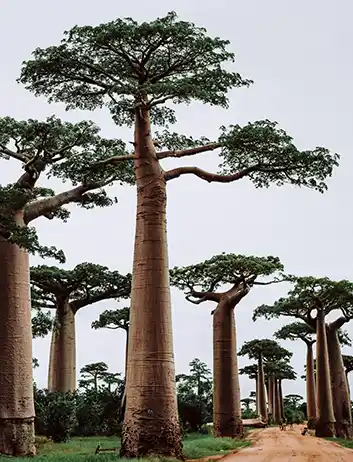 Top Places to Visit