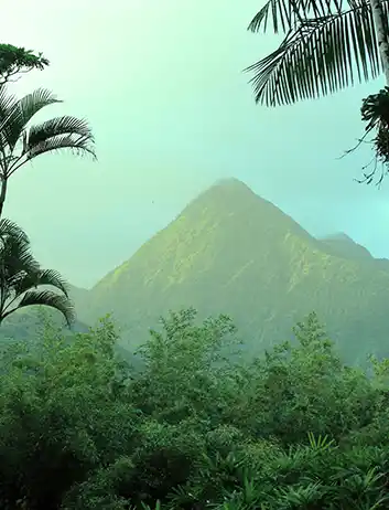Top Places to Visit