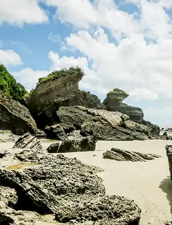 Top Places to Visit