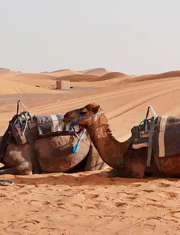 Top Places to Visit