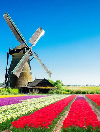 Top Places to Visit