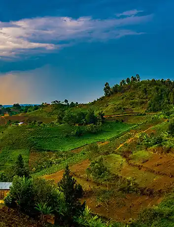 Top Places to Visit