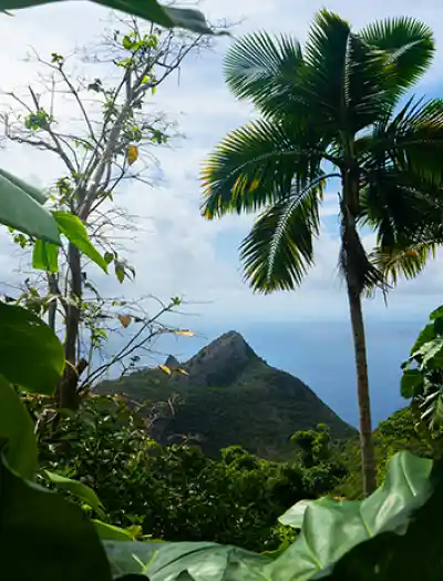 Top Places to Visit
