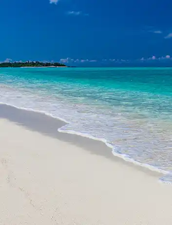 Top Places to Visit