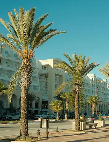 Top Places to Visit