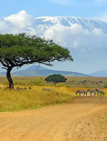 Top Places to Visit