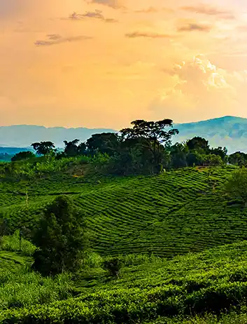 Top Places to Visit